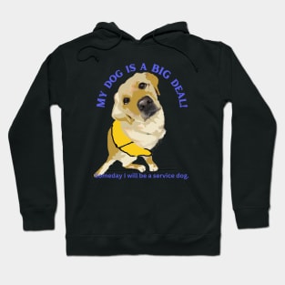 Future Service Dog Hoodie